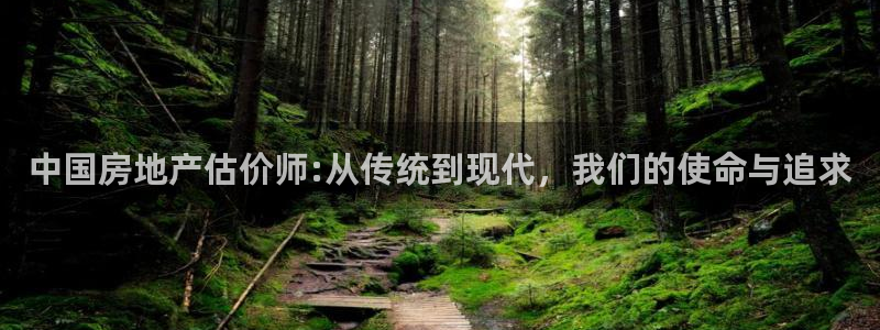 新宝5链接：中国房地产估价师:从传统到现代，我们的使命与追求