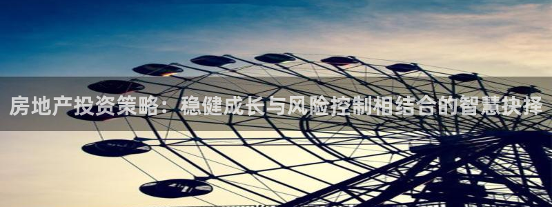 新宝5如何下载：房地产投资策略：稳健成长与风险控制相结合的智