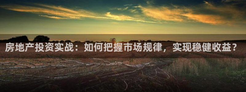 新宝5台卡：房地产投资实战：如何把握市场规律，实现稳健收益？