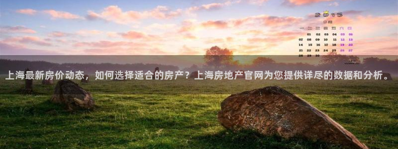 p5r新宝魔：上海最新房价动态，如何选择适合的房产？上海房地