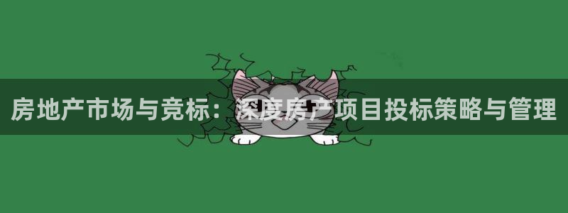 新宝股东张听2 5 5：房地产市场与竞标：深度房产项目投标策