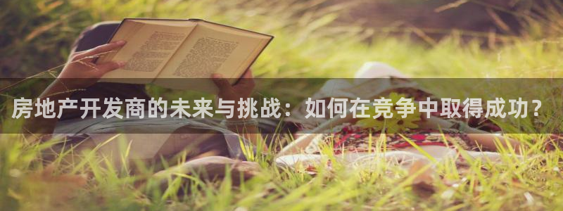 新宝5浗维33 300：房地产开发商的未来与挑战：如何在竞争