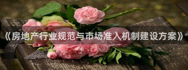新宝5登录不了：《房地产行业规范与市场准入机制建设方案》