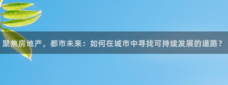 新宝b2O5O5O：聚焦房地产，都市未来：如何在城市中寻找可