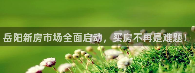 新5宝：岳阳新房市场全面启动，买房不再是难题！
