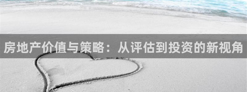 新宝集团新宝5：房地产价值与策略：从评估到投资的新视角