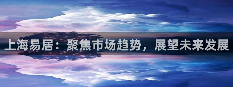 新宝5内部：上海易居：聚焦市场趋势，展望未来发展