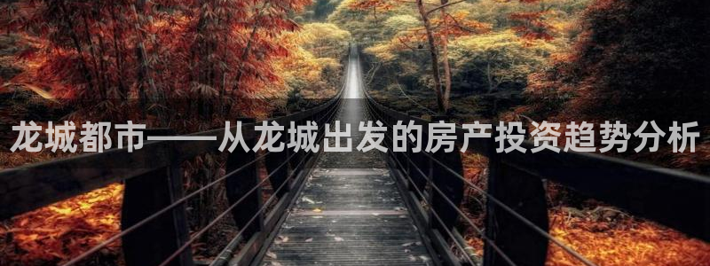 新宝5在哪里：龙城都市——从龙城出发的房产投资趋势分析