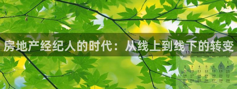 新宝5月：房地产经纪人的时代：从线上到线下的转变