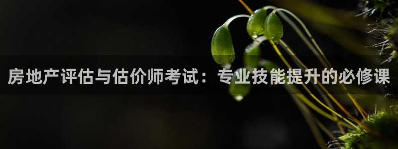 新宝5测速平台登录：房地产评估与估价师考试：专业技能提升的必