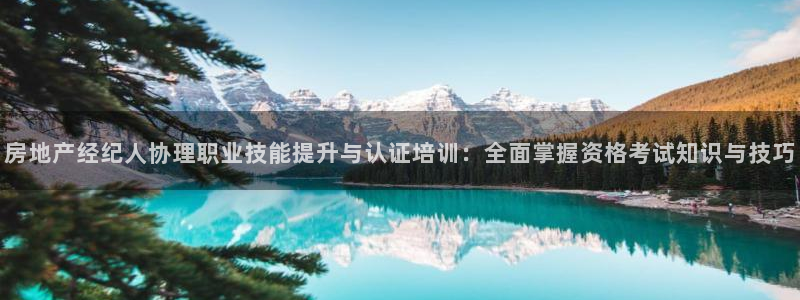 新宝5现在还能玩吗：房地产经纪人协理职业技能提升与认证培训：