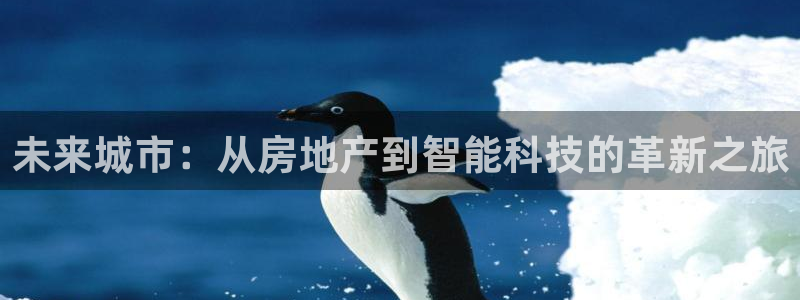 新宝5娱乐没：未来城市：从房地产到智能科技的革新之旅