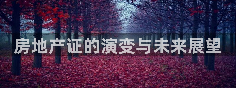 新宝5招商部：房地产证的演变与未来展望