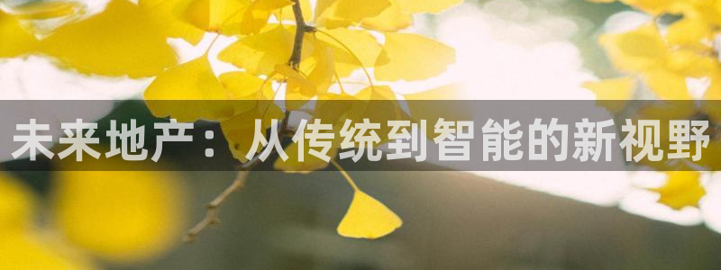 新宝5注册账号：未来地产：从传统到智能的新视野