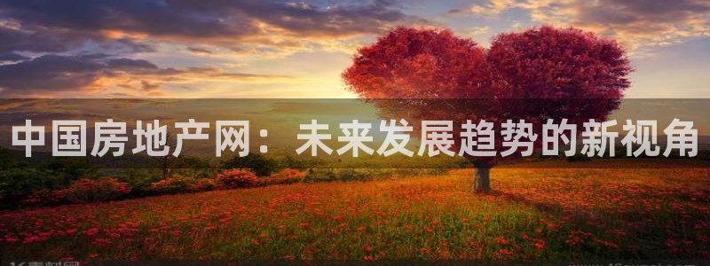 新宝5球维33 300：中国房地产网：未来发展趋势的新视角
