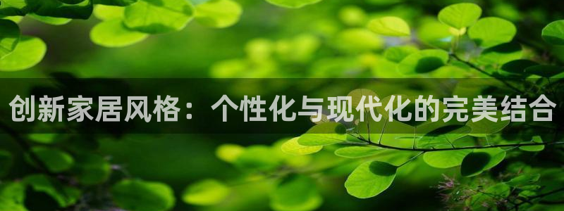 新宝5网站：创新家居风格：个性化与现代化的完美结合
