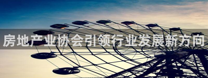 2022新宝骏rs 5：房地产业协会引领行业发展新方向