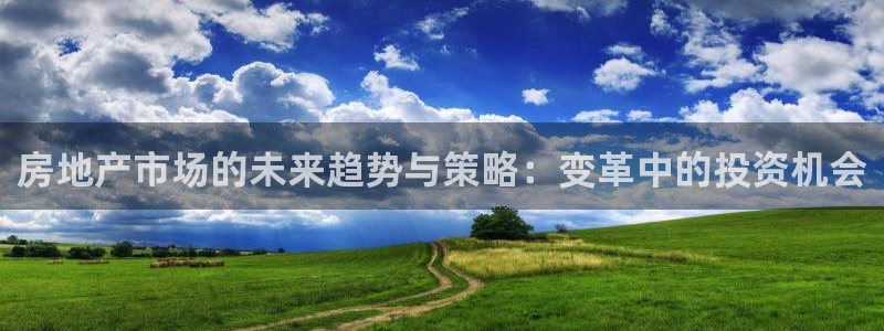 新宝5可靠吗：房地产市场的未来趋势与策略：变革中的投资机会