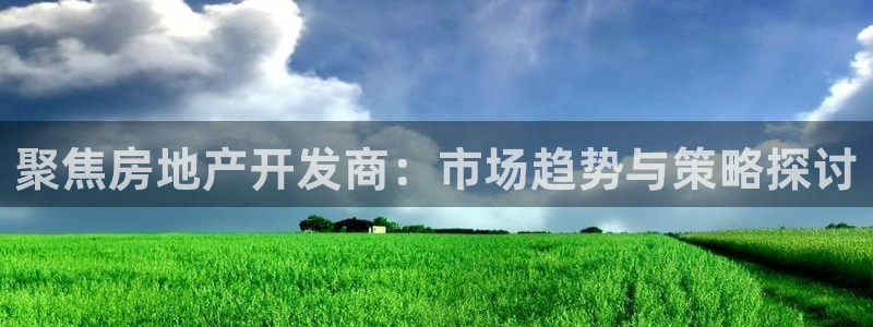 新宝5注册首页：聚焦房地产开发商：市场趋势与策略探讨