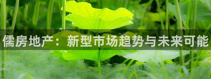 新宝5培训：儒房地产：新型市场趋势与未来可能