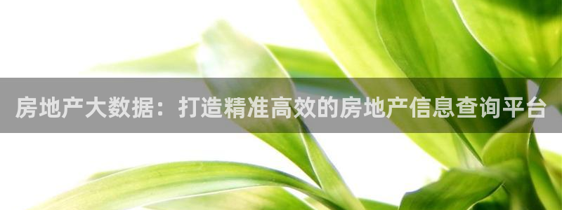 新宝5直属：房地产大数据：打造精准高效的房地产信息查询平台