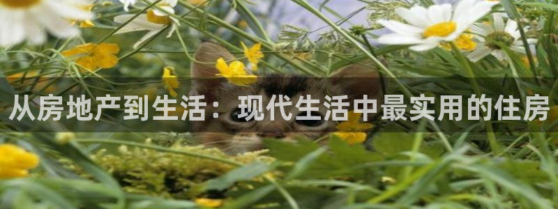 新宝5 唯一：从房地产到生活：现代生活中最实用的住房
