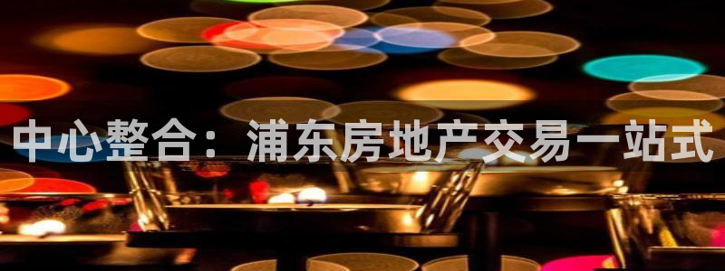新宝5下载 迅雷下载：中心整合：浦东房地产交易一站式