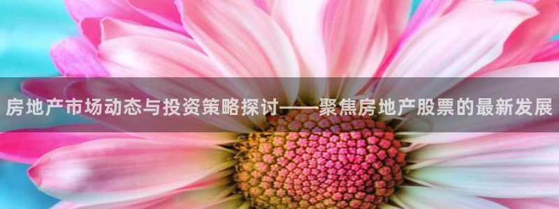 新宝5d：房地产市场动态与投资策略探讨——聚焦房地产股票的最