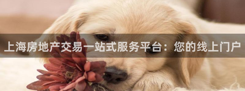 新宝5登录霸：上海房地产交易一站式服务平台：您的线上门户
