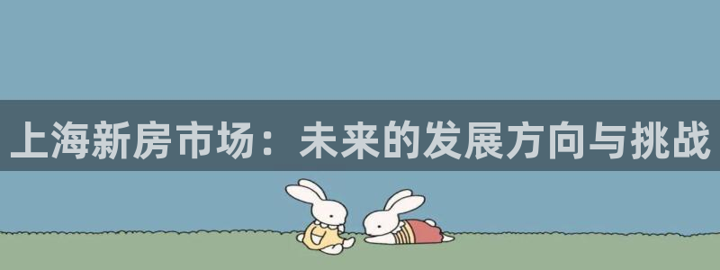 新宝5手机app：上海新房市场：未来的发展方向与挑战