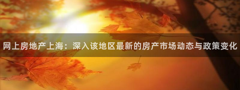 新5宝：网上房地产上海：深入该地区最新的房产市场动态与政策变