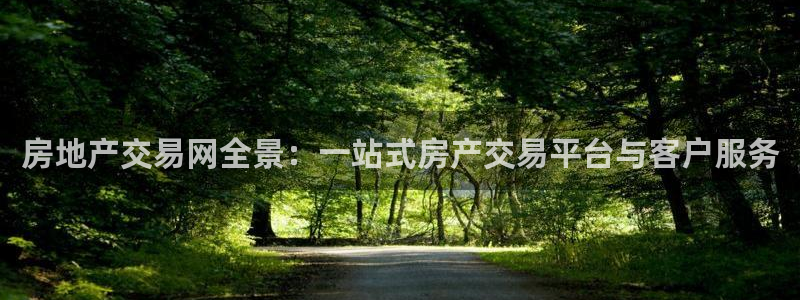 新宝5平台：房地产交易网全景：一站式房产交易平台与客户服务