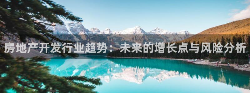 新宝5登录入口网址：房地产开发行业趋势：未来的增长点与风险分