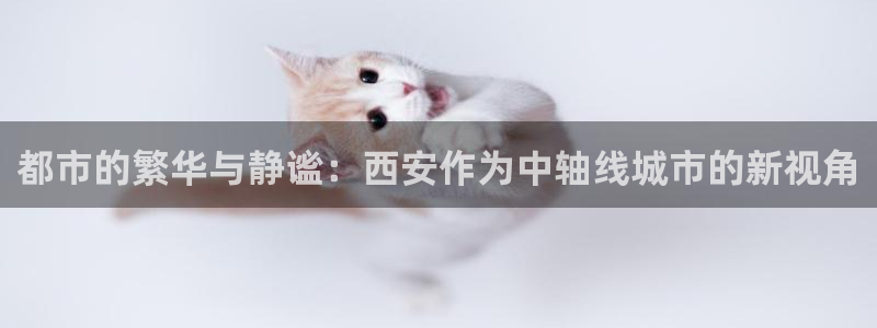 新宝5网：都市的繁华与静谧：西安作为中轴线城市的新视角