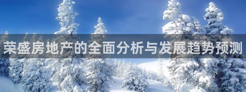 新宝b2O5O5O：荣盛房地产的全面分析与发展趋势预测