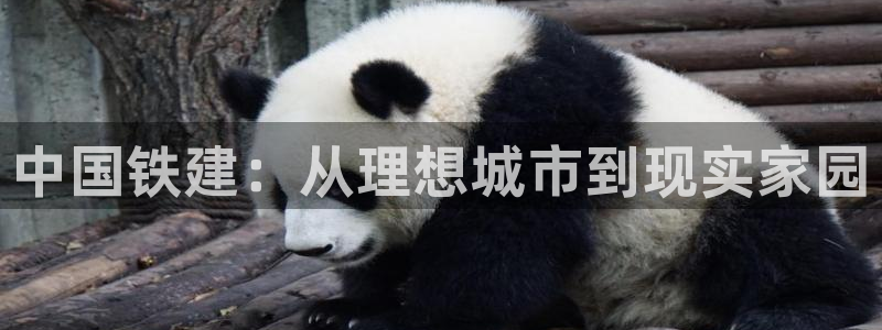 新宝5骗术：中国铁建：从理想城市到现实家园