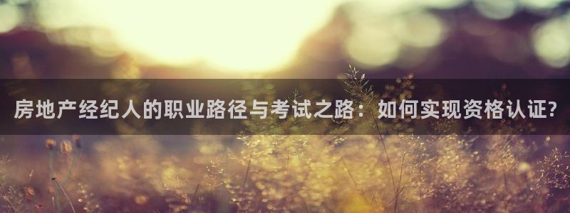 新宝5骗术：房地产经纪人的职业路径与考试之路：如何实现资格认