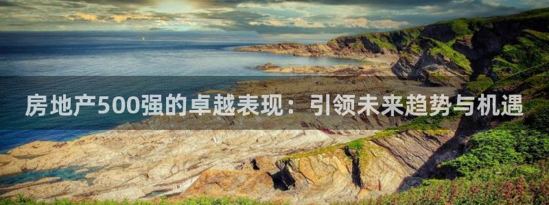 新宝5X：房地产500强的卓越表现：引领未来趋势与机遇