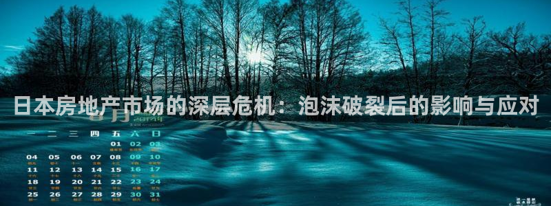 新5宝