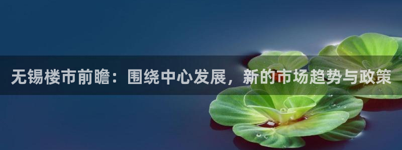 新5宝：无锡楼市前瞻：围绕中心发展，新的市场趋势与政策