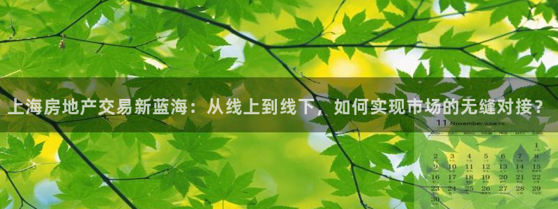 新宝5-测速：上海房地产交易新蓝海：从线上到线下，如何实现市