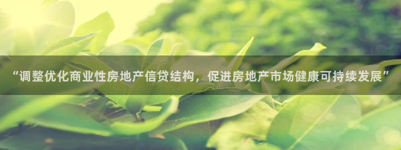 新宝5在哪里：“调整优化商业性房地产信贷结构，促进房地产市场
