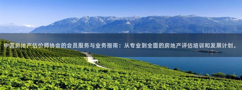 新宝5球维33 300：中国房地产估价师协会的会员服务与业务