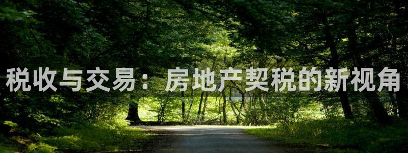 新宝5官方网站：税收与交易：房地产契税的新视角