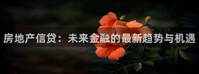 新宝5娱乐学：房地产信贷：未来金融的最新趋势与机遇