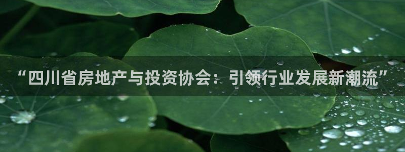 新宝cR一5：“四川省房地产与投资协会：引领行业发展新潮流”