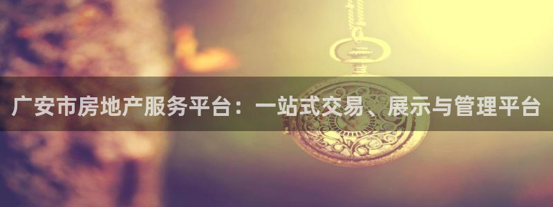 新宝股东瞧听2 5 5：广安市房地产服务平台：一站式交易、展