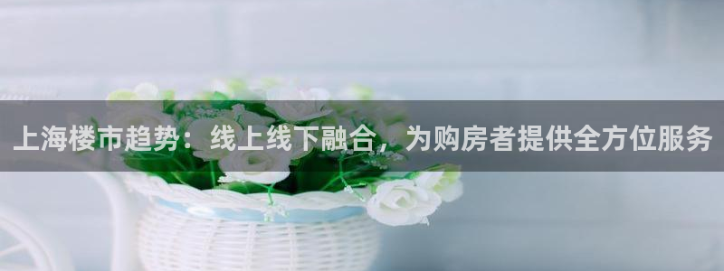 新宝5登陆：上海楼市趋势：线上线下融合，为购房者提供全方位服