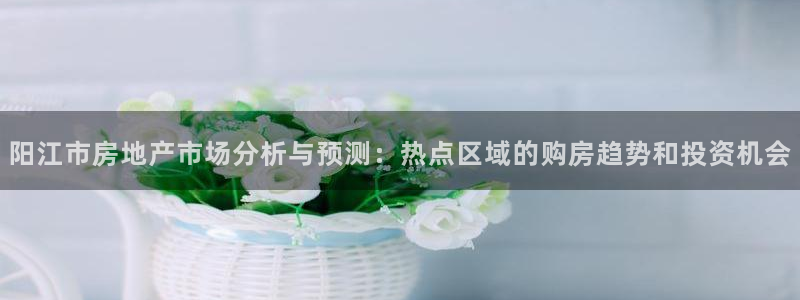 新宝rm5：阳江市房地产市场分析与预测：热点区域的购房趋势和