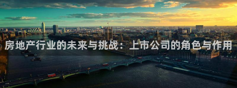 新宝5娱乐：房地产行业的未来与挑战：上市公司的角色与作用